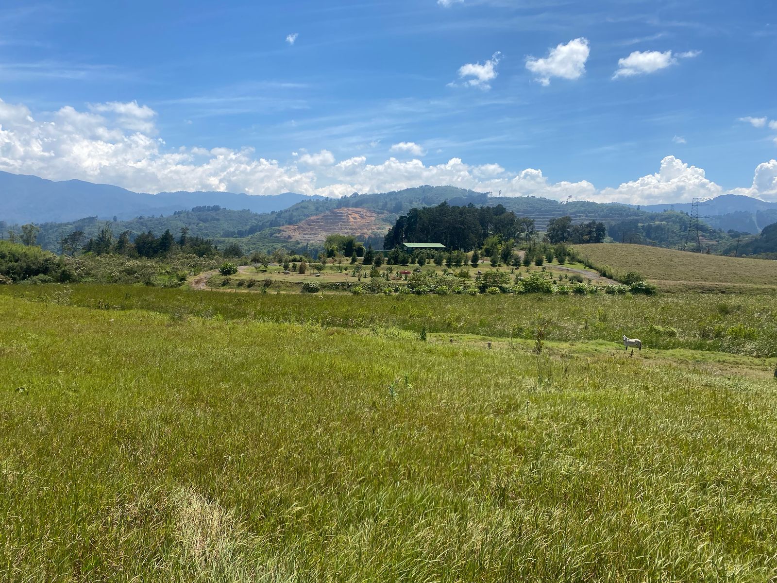 Detalle Finca Cármenes